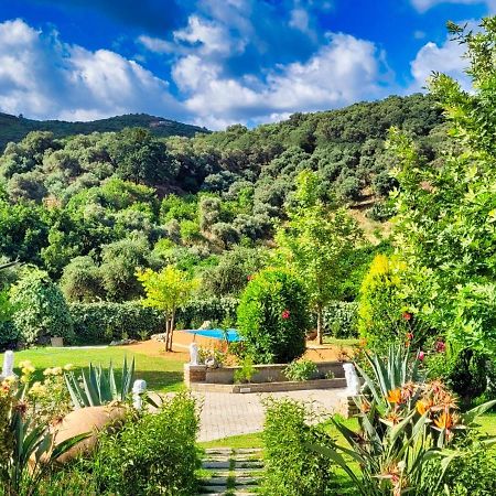 Villa Kalaitsidi - Plunge Pool, Gym And Unique Gardens Skinés 외부 사진